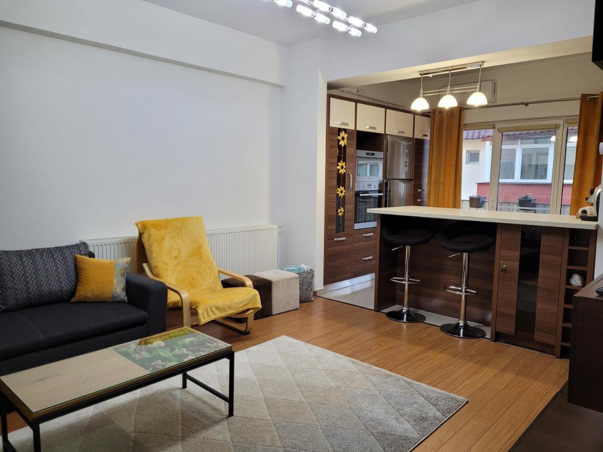 Andi Apartment Sibiu Exteriér fotografie